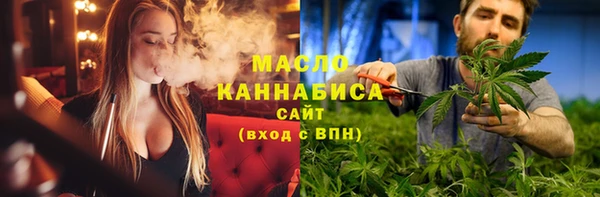 индика Киреевск