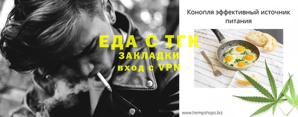 индика Киреевск