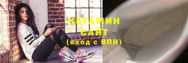 индика Киреевск