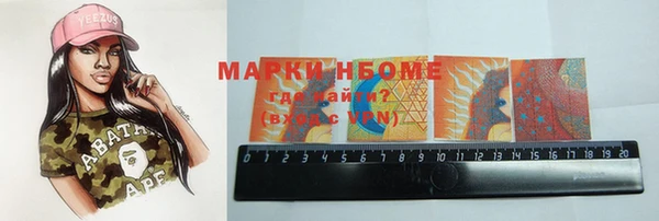 индика Киреевск