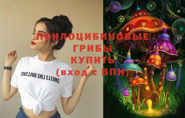 амф Пенза