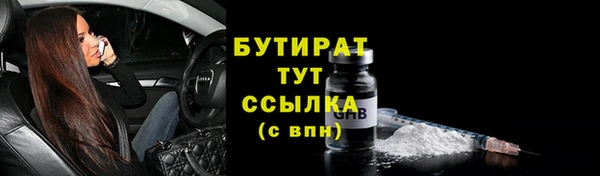 индика Киреевск
