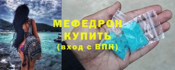 индика Киреевск