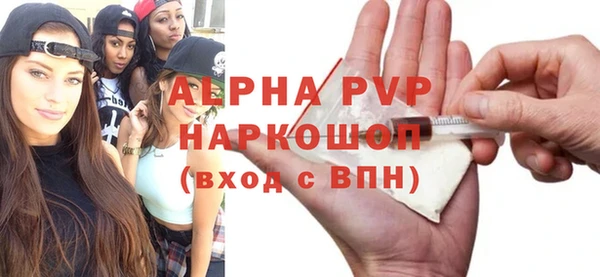 индика Киреевск