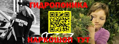 шишки Славгород