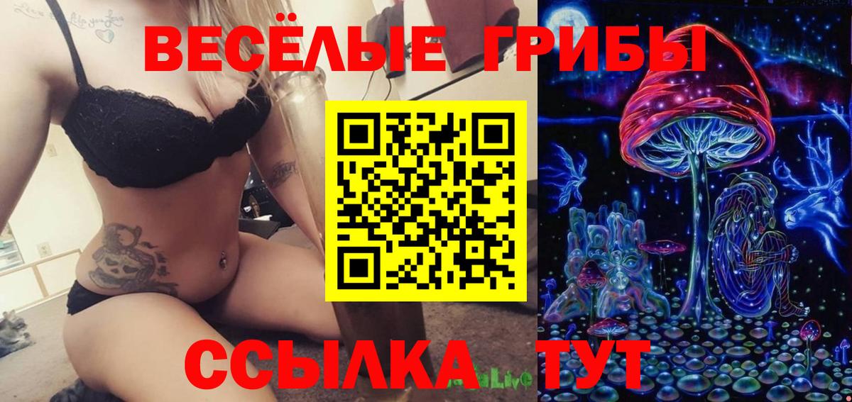 Псилоцибиновые грибы ЛСД  Вход с VPN  Минеральные Воды  купить наркотик  Псилоцибиновые грибы Psilocybine cubensis 