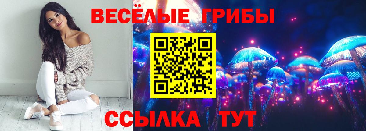 Галлюциногенные грибы ЛСД Минеральные Воды